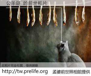 公羊鐩 的前世相片