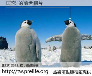 匡穵 的前世相片