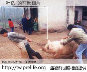 叶亿 的前世相片