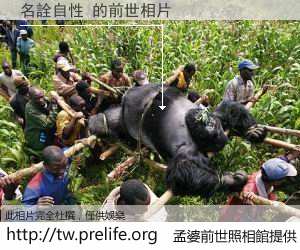 名詮自性 的前世相片