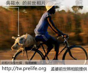 吳筱水 的前世相片