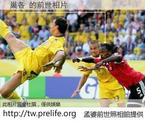 巢各 的前世相片