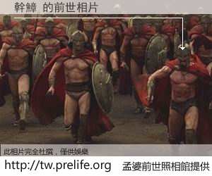 幹鱆 的前世相片