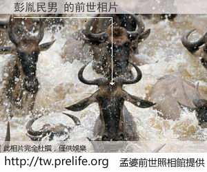 彭胤民男 的前世相片