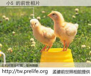 小S 的前世相片