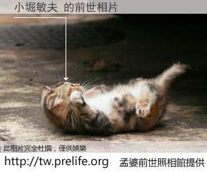 小堀敏夫 的前世相片
