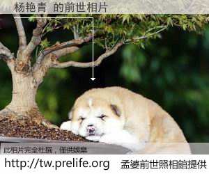 杨艳青 的前世相片