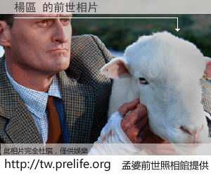 楊區 的前世相片