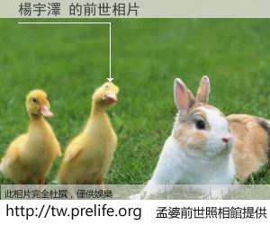 楊宇澤 的前世相片