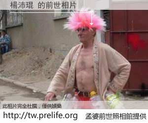 楊沛琨 的前世相片