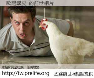 歐陽翠皮 的前世相片