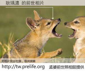 耿瑀濃 的前世相片