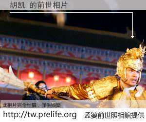 胡凯 的前世相片