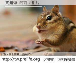 賈邇慷 的前世相片