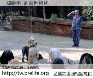 郑曦雯 的前世相片