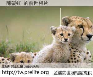 陳螢虹 的前世相片