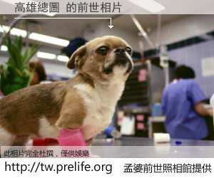 高雄總圖 的前世相片