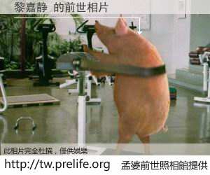 黎嘉静 的前世相片