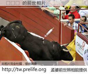 김석진 的前世相片