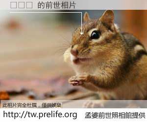 모시대 的前世相片