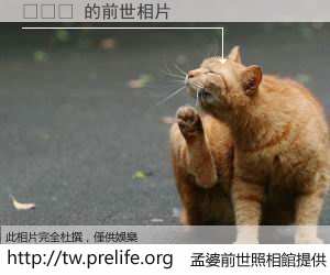 ๆนฟ 的前世相片