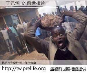 丁己颂 的前世相片