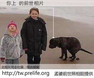 你上 的前世相片
