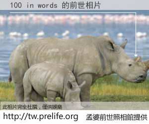 100 in words 的前世相片