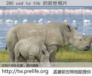 280 usd to thb 的前世相片