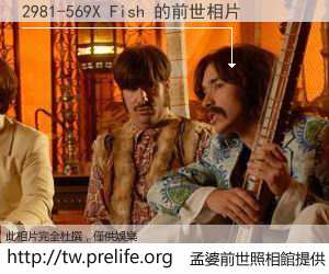 2981-569X Fish 的前世相片