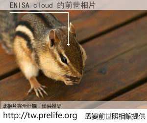 ENISA cloud 的前世相片