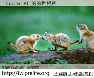 Framer AI 的前世相片