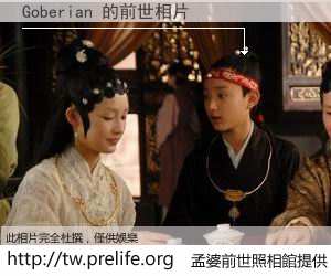 Goberian 的前世相片