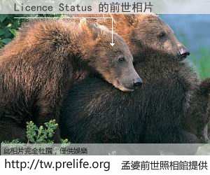 Licence Status 的前世相片