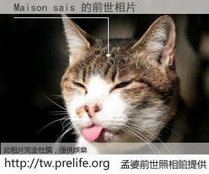 Maison sais 的前世相片