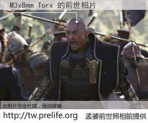 M3x8mm Torx 的前世相片