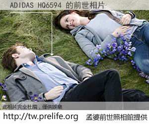 ADIDAS HQ6594 的前世相片