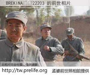 BREKINA		22203 的前世相片