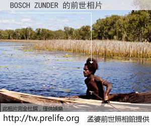 BOSCH ZUNDER 的前世相片
