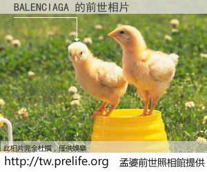 BALENCIAGA 的前世相片