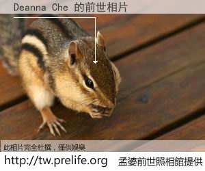 Deanna Che 的前世相片