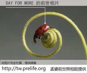DAY FOR MORE 的前世相片