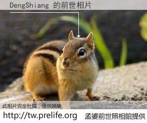 DengShiang 的前世相片