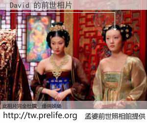 David 的前世相片