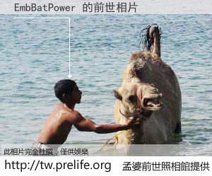 EmbBatPower 的前世相片