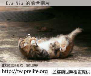 Eva Niu 的前世相片