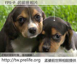 FP5-P 的前世相片