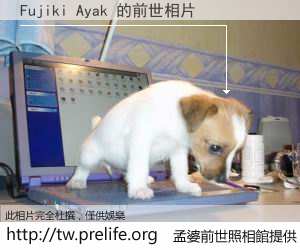 Fujiki Ayak 的前世相片
