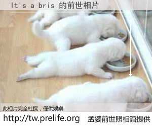 It's a bris 的前世相片