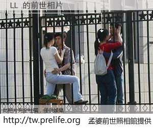 LL 的前世相片